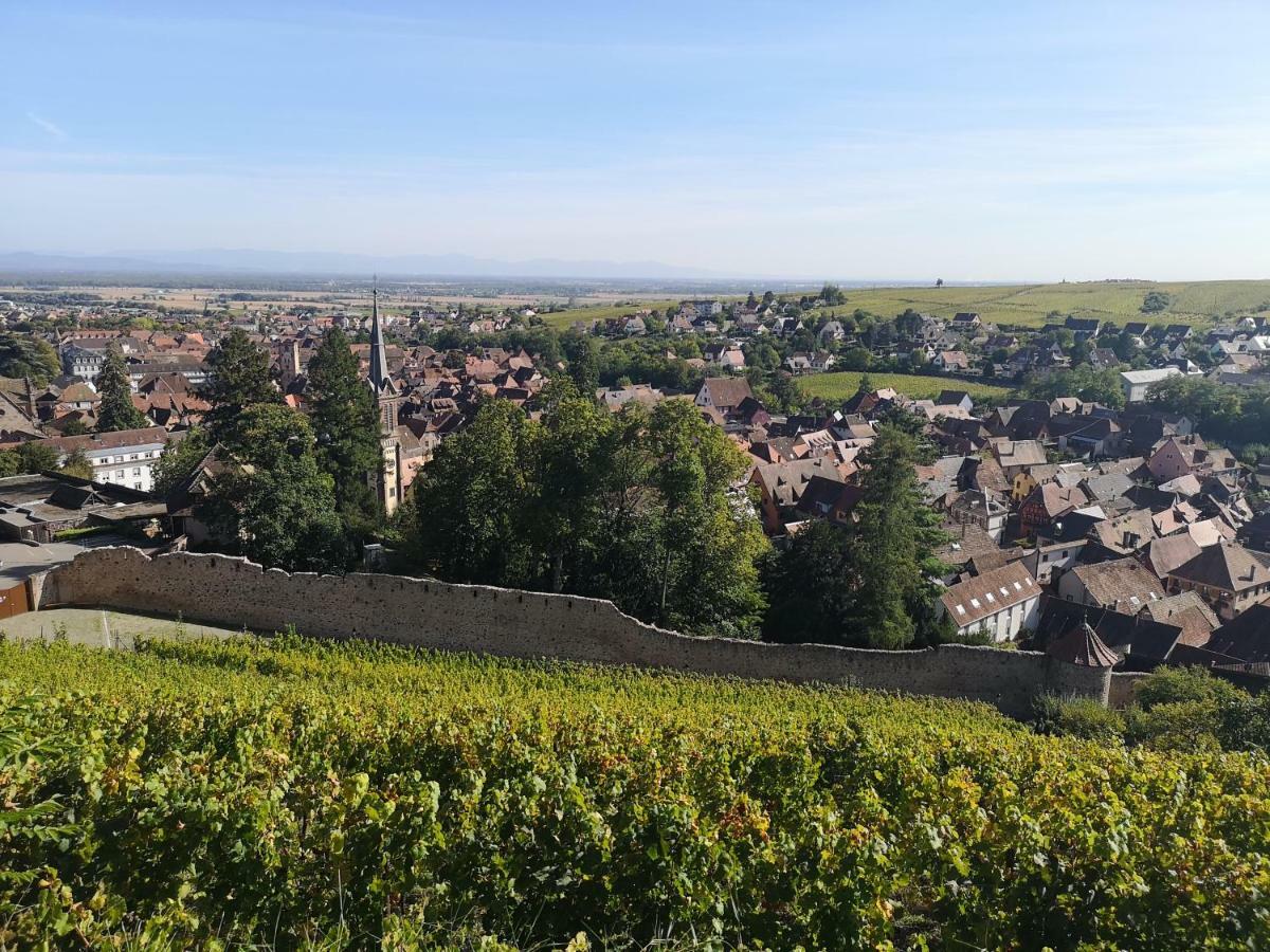 A La Cour De Ribeauville Avec Garage エクステリア 写真